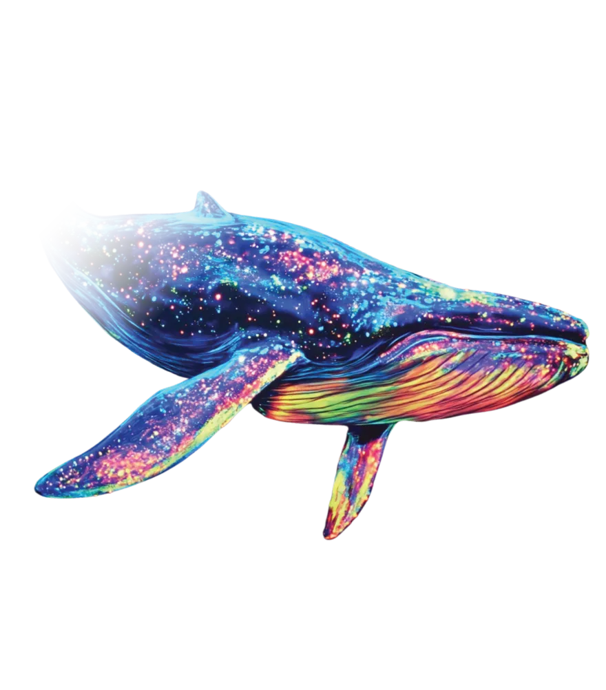 whale-image-01
