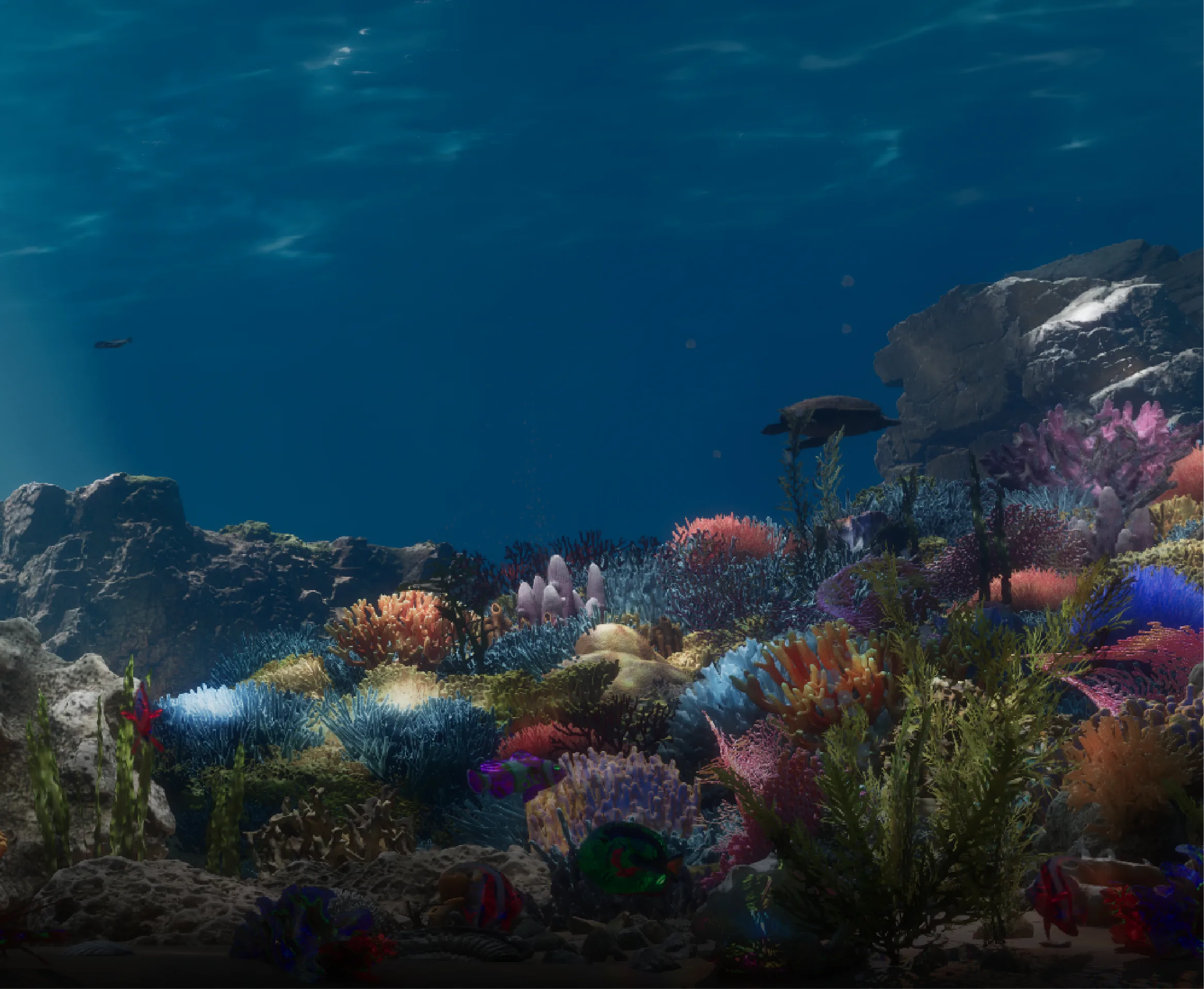 Canvas Oceania